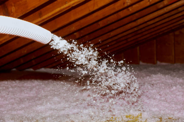 Best DIY Insulation Kits and Guidance in Oconto, WI